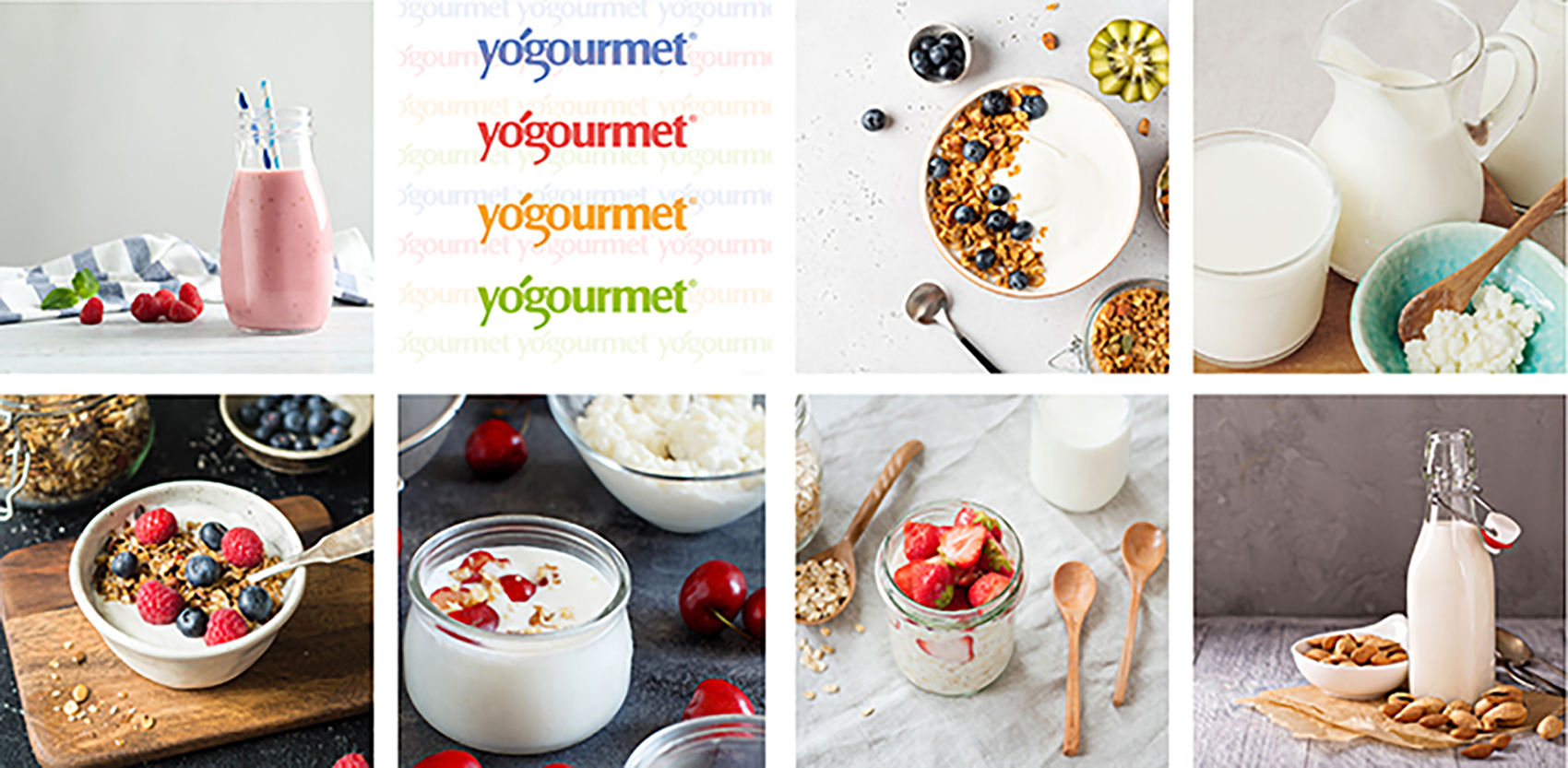 Yogourmet brand and our mission