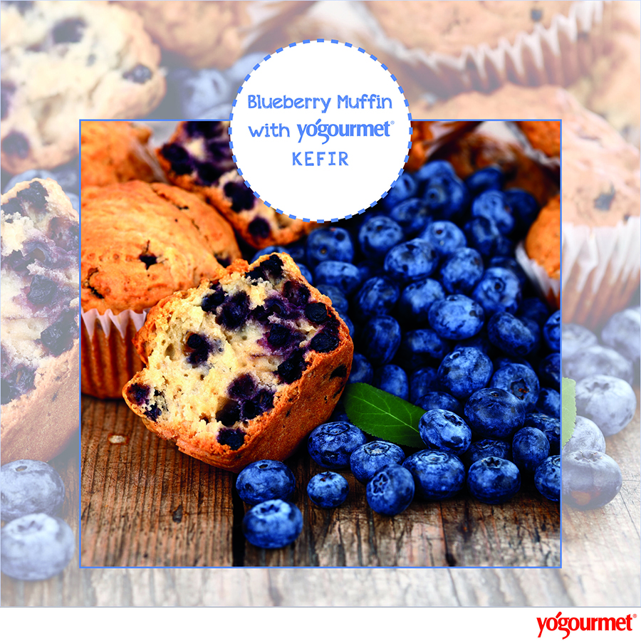 Blueberry Muffins with Yogourmet® Kefir