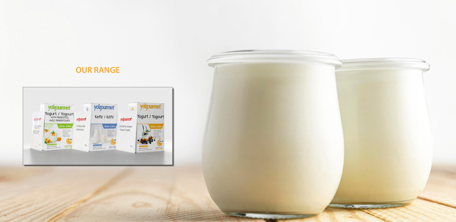 Yogourmet Fermenti Per Yogurt (1 Scatola) - Prepara Lo Yogurt A Casa -  Coltura Iniziale - Naturale Senza Glutine Kosher Halal - Bustine Da 3 g :  : Alimentari e cura della casa